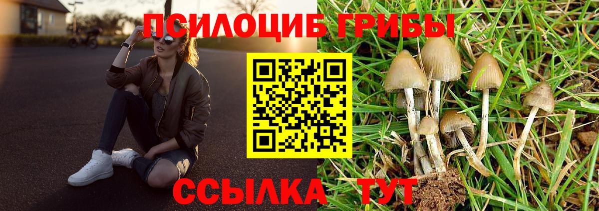 Галлюциногенные грибы ЛСД  Псилоцибиновые грибы Magic Shrooms  Вход с VPN  Абинск 